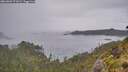 ./images/calvert/foggy-cove/20260609/foggy-cove20260609_071001M.jpg