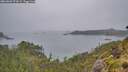 ./images/calvert/foggy-cove/20260609/foggy-cove20260609_072001M.jpg