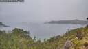 ./images/calvert/foggy-cove/20260609/foggy-cove20260609_072501M.jpg