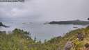 ./images/calvert/foggy-cove/20260609/foggy-cove20260609_073001M.jpg