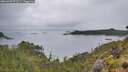 ./images/calvert/foggy-cove/20260609/foggy-cove20260609_073501M.jpg