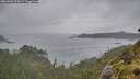 ./images/calvert/foggy-cove/20260609/foggy-cove20260609_074501M.jpg