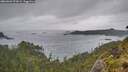 ./images/calvert/foggy-cove/20260609/foggy-cove20260609_075001M.jpg