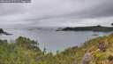 ./images/calvert/foggy-cove/20260609/foggy-cove20260609_075501M.jpg