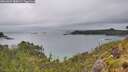 ./images/calvert/foggy-cove/20260609/foggy-cove20260609_080001M.jpg