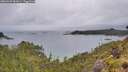 ./images/calvert/foggy-cove/20260609/foggy-cove20260609_081001M.jpg