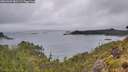 ./images/calvert/foggy-cove/20260609/foggy-cove20260609_081501M.jpg
