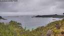 ./images/calvert/foggy-cove/20260609/foggy-cove20260609_082001M.jpg
