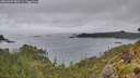 ./images/calvert/foggy-cove/20260609/foggy-cove20260609_082501M.jpg