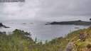 ./images/calvert/foggy-cove/20260609/foggy-cove20260609_083001M.jpg