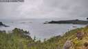 ./images/calvert/foggy-cove/20260609/foggy-cove20260609_083501M.jpg