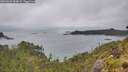 ./images/calvert/foggy-cove/20260609/foggy-cove20260609_084001M.jpg