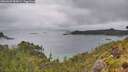 ./images/calvert/foggy-cove/20260609/foggy-cove20260609_085001M.jpg