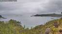 ./images/calvert/foggy-cove/20260609/foggy-cove20260609_085501M.jpg