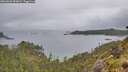 ./images/calvert/foggy-cove/20260609/foggy-cove20260609_090001M.jpg