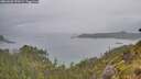 ./images/calvert/foggy-cove/20260609/foggy-cove20260609_090501M.jpg
