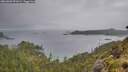 ./images/calvert/foggy-cove/20260609/foggy-cove20260609_091001M.jpg