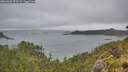 ./images/calvert/foggy-cove/20260609/foggy-cove20260609_091501M.jpg