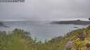 ./images/calvert/foggy-cove/20260609/foggy-cove20260609_092001M.jpg