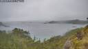 ./images/calvert/foggy-cove/20260609/foggy-cove20260609_093001M.jpg