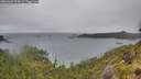 ./images/calvert/foggy-cove/20260609/foggy-cove20260609_094502M.jpg