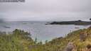 ./images/calvert/foggy-cove/20260609/foggy-cove20260609_095501M.jpg