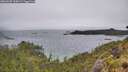 ./images/calvert/foggy-cove/20260609/foggy-cove20260609_100002M.jpg