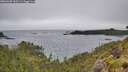 ./images/calvert/foggy-cove/20260609/foggy-cove20260609_100501M.jpg