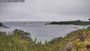 ./images/calvert/foggy-cove/20260609/foggy-cove20260609_101001M.jpg