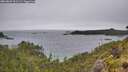 ./images/calvert/foggy-cove/20260609/foggy-cove20260609_101501M.jpg