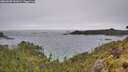 ./images/calvert/foggy-cove/20260609/foggy-cove20260609_102001M.jpg