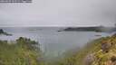 ./images/calvert/foggy-cove/20260609/foggy-cove20260609_103501M.jpg