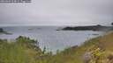 ./images/calvert/foggy-cove/20260609/foggy-cove20260609_104002M.jpg
