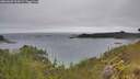 ./images/calvert/foggy-cove/20260609/foggy-cove20260609_104501M.jpg