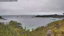 ./images/calvert/foggy-cove/20260609/foggy-cove20260609_105002M.jpg
