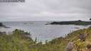 ./images/calvert/foggy-cove/20260609/foggy-cove20260609_105501M.jpg