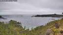 ./images/calvert/foggy-cove/20260609/foggy-cove20260609_110002M.jpg