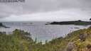 ./images/calvert/foggy-cove/20260609/foggy-cove20260609_111001M.jpg