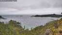 ./images/calvert/foggy-cove/20260609/foggy-cove20260609_111501M.jpg