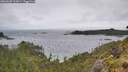./images/calvert/foggy-cove/20260609/foggy-cove20260609_112001M.jpg