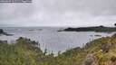 ./images/calvert/foggy-cove/20260609/foggy-cove20260609_112501M.jpg