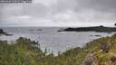 ./images/calvert/foggy-cove/20260609/foggy-cove20260609_113002M.jpg