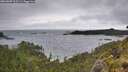 ./images/calvert/foggy-cove/20260609/foggy-cove20260609_113501M.jpg