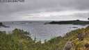 ./images/calvert/foggy-cove/20260609/foggy-cove20260609_114001M.jpg