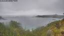 ./images/calvert/foggy-cove/20260609/foggy-cove20260609_115501M.jpg