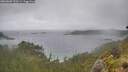 ./images/calvert/foggy-cove/20260609/foggy-cove20260609_120501M.jpg