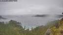 ./images/calvert/foggy-cove/20260609/foggy-cove20260609_121001M.jpg