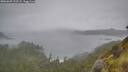 ./images/calvert/foggy-cove/20260609/foggy-cove20260609_122501M.jpg