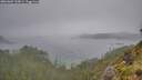 ./images/calvert/foggy-cove/20260609/foggy-cove20260609_123001M.jpg
