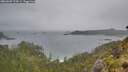 ./images/calvert/foggy-cove/20260609/foggy-cove20260609_124501M.jpg